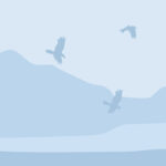 Blog Post 3 Blog Post 3